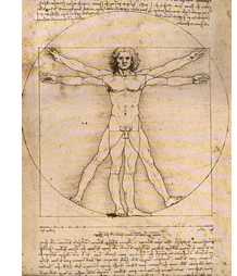 �ʐ^������܂�