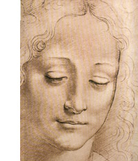 �ʐ^������܂�